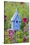 Blue Birdhouse Near Hollyhocks. Marion, Illinois, Usa-Richard ans Susan Day-Stretched Canvas