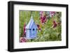 Blue Birdhouse Near Hollyhocks. Marion, Illinois, Usa-Richard ans Susan Day-Framed Premium Photographic Print