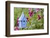 Blue Birdhouse Near Hollyhocks. Marion, Illinois, Usa-Richard ans Susan Day-Framed Photographic Print