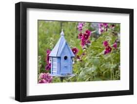 Blue Birdhouse Near Hollyhocks. Marion, Illinois, Usa-Richard ans Susan Day-Framed Photographic Print