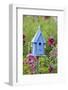 Blue Birdhouse Near Hollyhocks. Marion, Illinois, Usa-Richard ans Susan Day-Framed Photographic Print