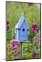 Blue Birdhouse Near Hollyhocks. Marion, Illinois, Usa-Richard ans Susan Day-Mounted Photographic Print