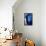 Blue Bison-Vivienne Dupont-Framed Stretched Canvas displayed on a wall