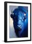 Blue Bison-Vivienne Dupont-Framed Art Print