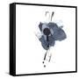 Blue & Black Splash II-Irena Orlov-Framed Stretched Canvas