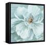 Blue Bloomin' Beauty I-Sally Swatland-Framed Stretched Canvas