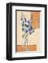 Blue Blossom II-Bjoern Baar-Framed Art Print