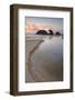 Blue Blubber Jelliyfish at Sunrise-lovleah-Framed Photographic Print