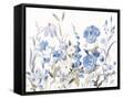 Framed Canvas
