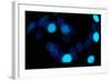 Blue Bokeh II-Erin Berzel-Framed Photographic Print