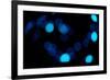 Blue Bokeh II-Erin Berzel-Framed Photographic Print