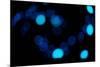 Blue Bokeh II-Erin Berzel-Mounted Photographic Print