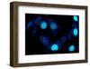 Blue Bokeh II-Erin Berzel-Framed Photographic Print