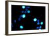 Blue Bokeh III-Erin Berzel-Framed Photographic Print