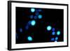 Blue Bokeh III-Erin Berzel-Framed Photographic Print