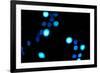 Blue Bokeh III-Erin Berzel-Framed Photographic Print