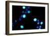 Blue Bokeh III-Erin Berzel-Framed Photographic Print