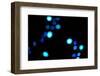 Blue Bokeh III-Erin Berzel-Framed Photographic Print