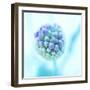 Blue Bombshell-Jacob Berghoef-Framed Photographic Print