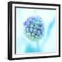 Blue Bombshell-Jacob Berghoef-Framed Photographic Print