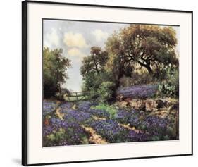 Blue Bonnet Trail-Porfirio Jr. Salinas-Framed Art Print