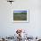 Blue Bonnets and Indian Paintbrush with Oak Trees in Distance, Near Independence, Texas, USA-Darrell Gulin-Framed Photographic Print displayed on a wall