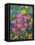Blue Bonnets, Arnica, and Indian Paintbrush, Near Cuero, Texas, USA-Darrell Gulin-Framed Stretched Canvas