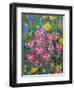 Blue Bonnets, Arnica, and Indian Paintbrush, Near Cuero, Texas, USA-Darrell Gulin-Framed Photographic Print