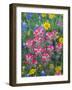 Blue Bonnets, Arnica, and Indian Paintbrush, Near Cuero, Texas, USA-Darrell Gulin-Framed Photographic Print