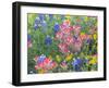 Blue Bonnets, Arnica, and Indian Paintbrush, Near Cuero, Texas, USA-Darrell Gulin-Framed Premium Photographic Print