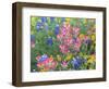 Blue Bonnets, Arnica, and Indian Paintbrush, Near Cuero, Texas, USA-Darrell Gulin-Framed Photographic Print