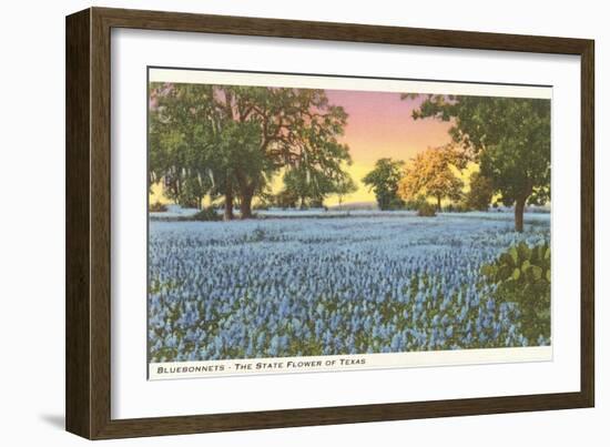 Blue Bonnets, State Flower of Texas-null-Framed Art Print