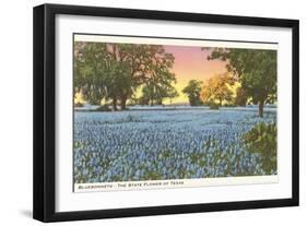 Blue Bonnets, State Flower of Texas-null-Framed Art Print
