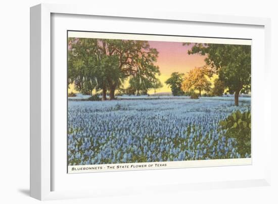 Blue Bonnets, State Flower of Texas-null-Framed Art Print