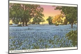 Blue Bonnets, State Flower of Texas-null-Mounted Art Print