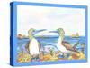 Blue Booby Greetings-Lisa Katharina-Stretched Canvas