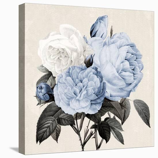 Blue Botanical Arrangement I-Kelly Donovan-Stretched Canvas