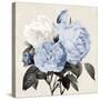 Blue Botanical Arrangement I-Kelly Donovan-Stretched Canvas