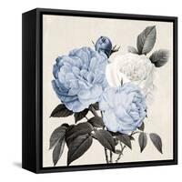 Blue Botanical Arrangement II-Kelly Donovan-Framed Stretched Canvas