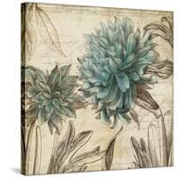 Blue Botanical I-Anna Polanski-Stretched Canvas