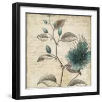 Blue Botanical II-Anna Polanski-Framed Art Print