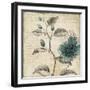 Blue Botanical II-Anna Polanski-Framed Art Print