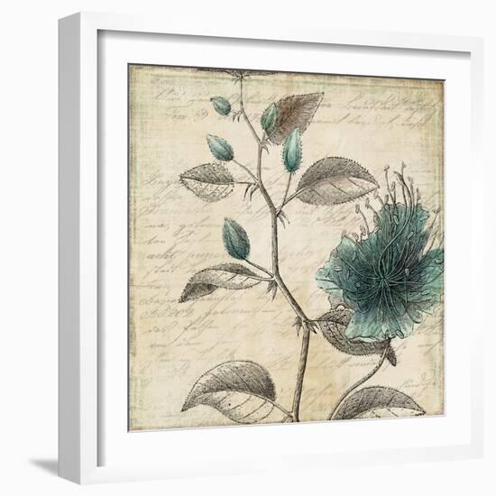 Blue Botanical II-Anna Polanski-Framed Art Print