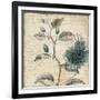 Blue Botanical II-Anna Polanski-Framed Premium Giclee Print