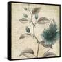 Blue Botanical II-Anna Polanski-Framed Stretched Canvas