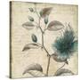 Blue Botanical II-Anna Polanski-Stretched Canvas