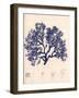 Blue Botanical Study I-Kimberly Poloson-Framed Premium Giclee Print