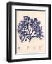 Blue Botanical Study I-Kimberly Poloson-Framed Art Print