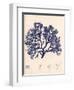 Blue Botanical Study I-Kimberly Poloson-Framed Art Print
