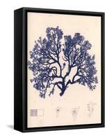 Blue Botanical Study I-Kimberly Poloson-Framed Stretched Canvas